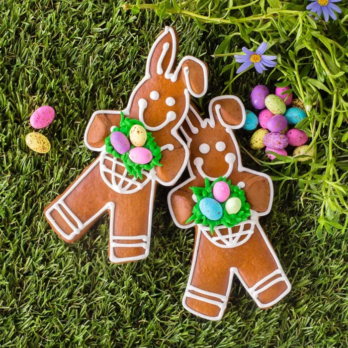 Easter Bunny Biscuit